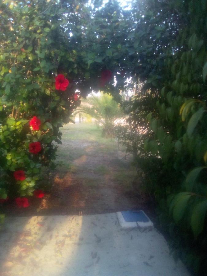 Traditional House Marivilla Mastichari  Exterior foto